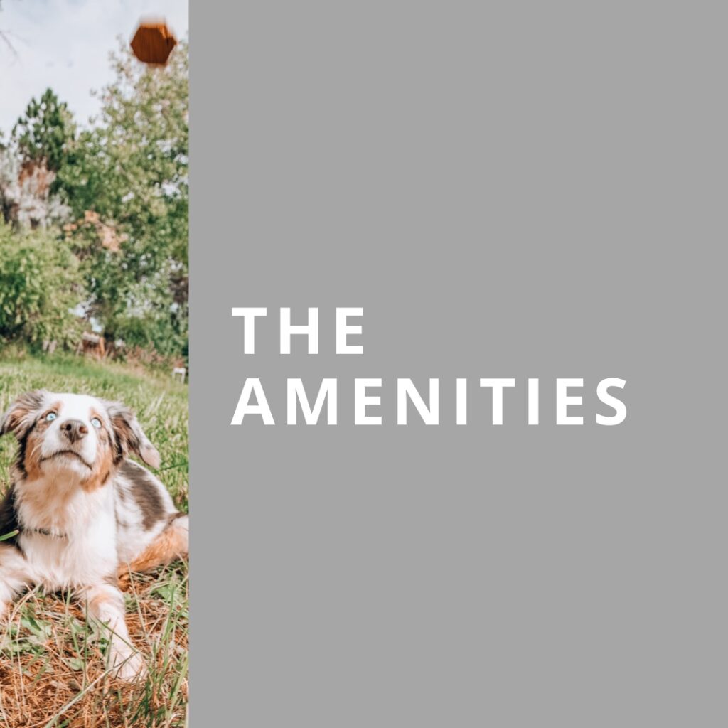 Amenities Video Tour Thumbnail